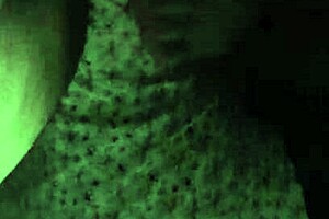 hidden cam catches mature amateur touching herself in bedroom. her wet pussy craves attention.