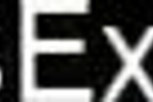 couple shares intimate blowjob and handjob moments