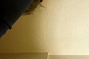 A stepmom in an ebony family setting