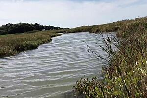 Asian milf gets fucked doggystyle by big cock