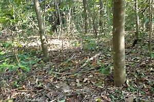 My Wife Begs So Sweetly For Her Treat – Is It Worth It?