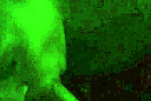 Hot latina amateur wife shares her mature body with others