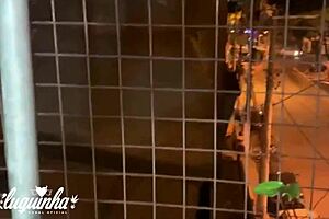 she sucked me in the street and everyone saw