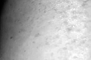 amateur redhead milf with big booty gets stretched and creampied by damian sanchez's bbc