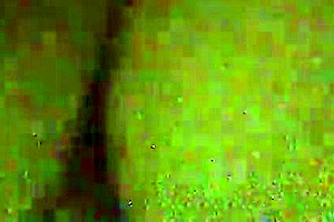 friends get wild at night with mature milf