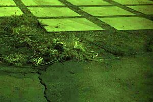 milf gets anal fucked outdoors in extreme domination scene.