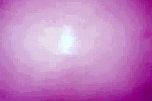 La Gordita Gets On All Fours For A Fun Pose