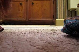 Bathroom Fun With Sexy White Girl And Milf