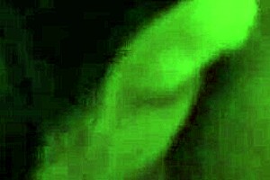 Creampied Milf Pussy Banged Hard Over the Bar Counter