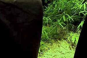 Mature babe craves big cock in bush?