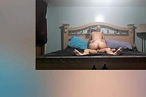 ant crawls on the ground