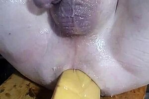 Huge dildos stretch me out in a wild solo session.