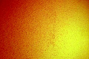 anyone tried this cheap mature Asian hooker yet?