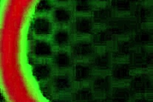 Curvy rome major fucks elsie's kenyan pussy slit