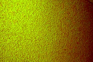 anyone tried this cheap mature Asian hooker yet?