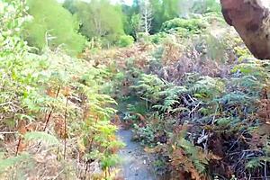 Licking cum off sugardaddy's cock on secret beach after hike