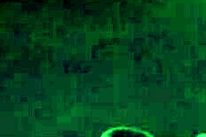 nicky ferrari dancing seductively for her brother-in-law in lingerie