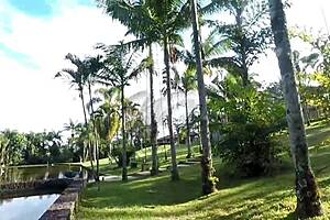 We sneaked away from the party to the woods