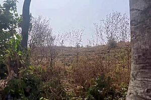 Nearly Caught by Fulanis While Fucking at Riverside Quickie