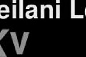 The Job Interview Trailer