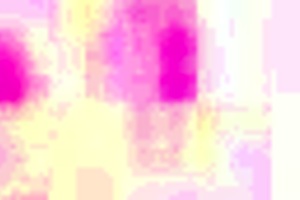 Does Bruno Break Annie Marin's Ass In Her First Anal Session?