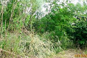 Stepmom Tied With Harness Gets GREAT FUCK In Her Pussy During Roleplay