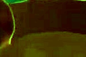 antonela chan enjoys a nude milf beach day