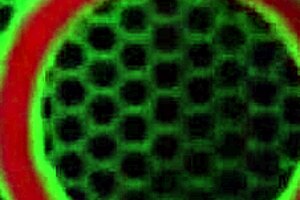 Latina Mother In Law Lets Me Massage Her Big Ass After Paying For Surgery