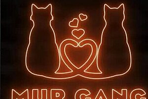 Why fuck on the stairs when you're so horny at your wedding?