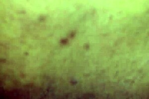 Redbone Milf Lets Me Suck on Dat Pussy Hard!