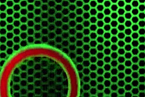 blonde coed lexi love gets fucked and jizzed by rome major!