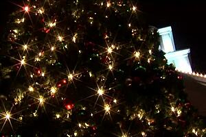 Step Mom Saves Christmas Deepthroat Choking Creampie Mommy POV Riding Monster Cock Not Son Mother In Law Cougar