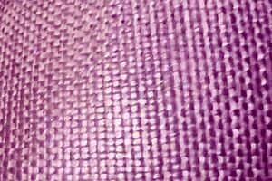 The day Belinha took three cumshots in her mouth during the orgy!