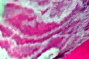 Mature Woman Gets Fucked While Wearing Thong And Panties