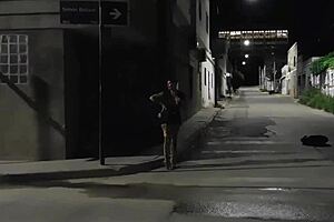 Volviendo De Vacaciones Un Amigo Nos Invita A Ver Como Coje La Puta Que Tiene En La Esquina De La Casa Trabajando