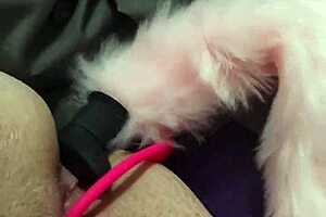 Double Penetration For Chubby Fox MILF