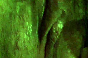 cheating asian wife fucks before heading home