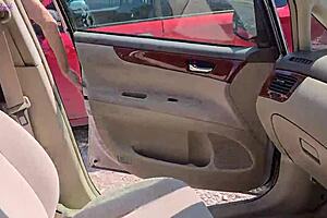 Sweet Girl Uses Remote Vibrator In Park For Intense Orgasm