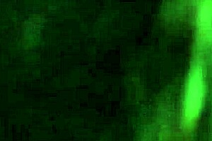 i saw this big cock moony milf with a monster cock