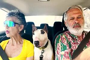 Driving East Oahu Chatting About Sexual Things