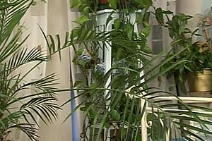 busty cougar feels intense pleasure taking that stiff dong in every position