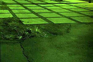 fucked outdoors unless youre from the sixties and dig that earth milf domination with teen 18+ extreme bdsm.