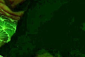 the fisherman catches european girls in public outdoor spots