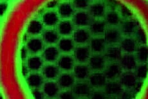 Massive Ass Miss Raquel Takes Rome Major’s Huge BBC!