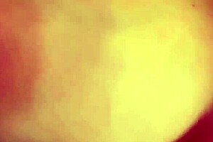 Italian big tits milf Artemisia Love flashes her boobs close up in slow motion