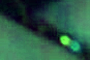 Lewd guy pisses on tits and ass fucks his woman with spanking