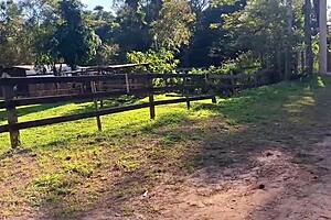 met a country girl and took her to the woods 😊