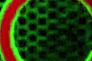 Giselle leon gets dicked behind dumpster 😈