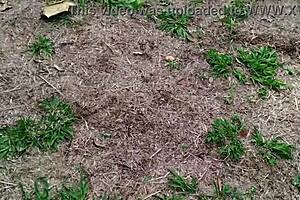 Hot Married Woman Blows Farm Doorman Then Fucks Him At Home