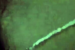 How delicious my stepmother's whore moans during tight pussy fucking